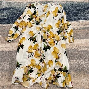 Blue Island lemons cover up